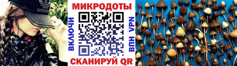 Псилоцибиновые грибы Cubensis  хочу   Благодарный 